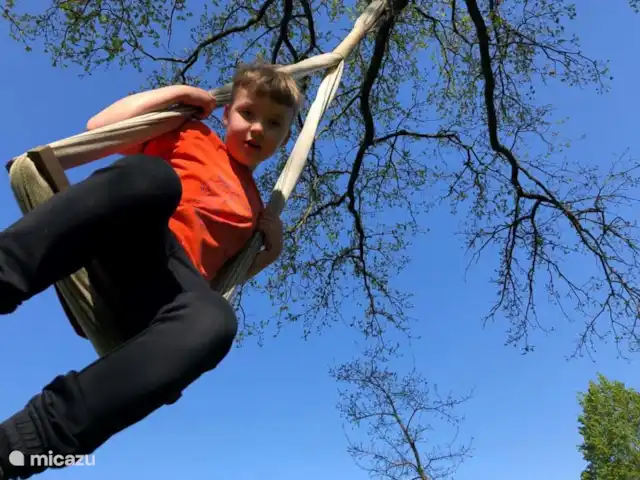 Schommels in de boom.